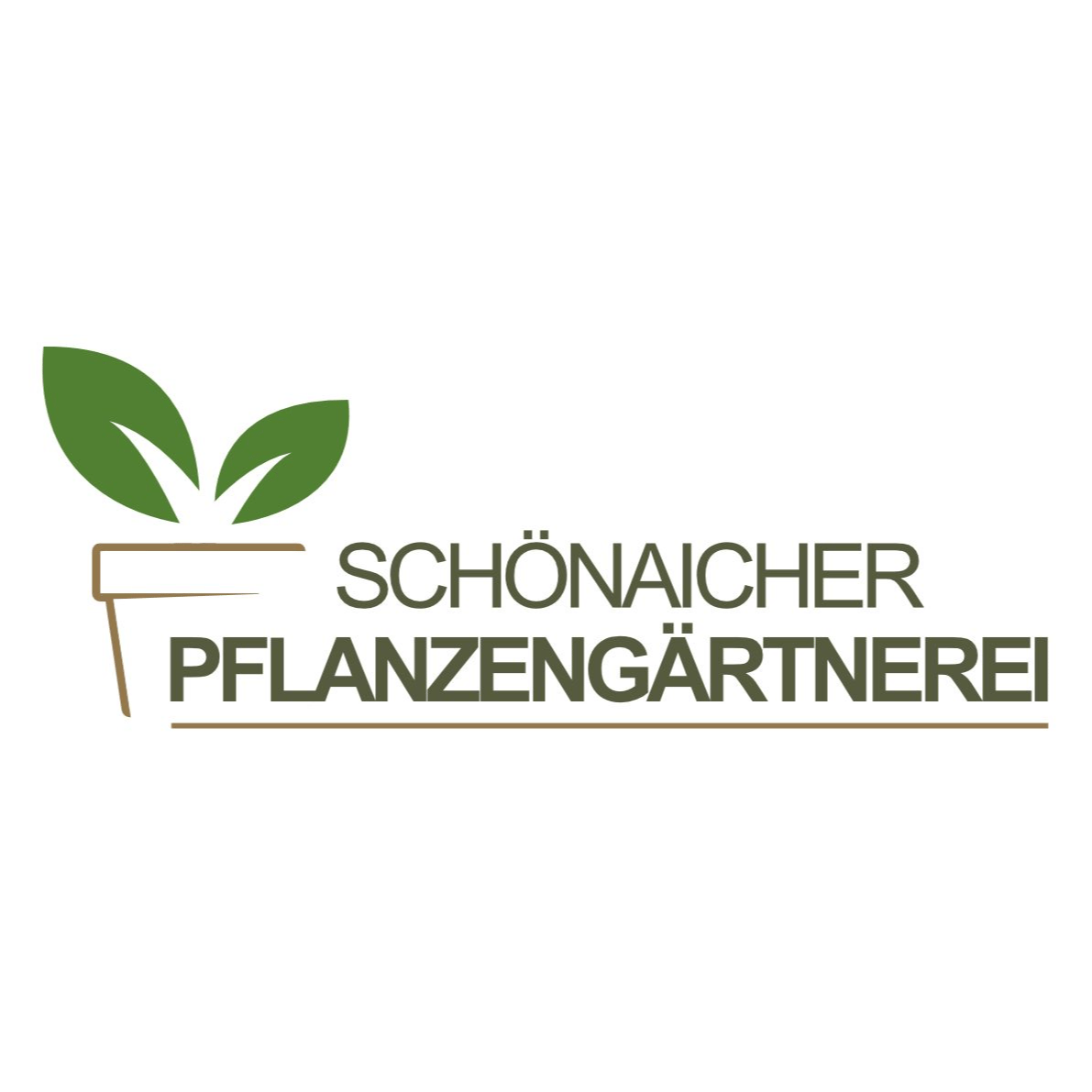 Schönaicher Pflanzengärtnerei Inh. Werner Metzger Orchideen - Schönaich, Steinenbronner Straße 40
