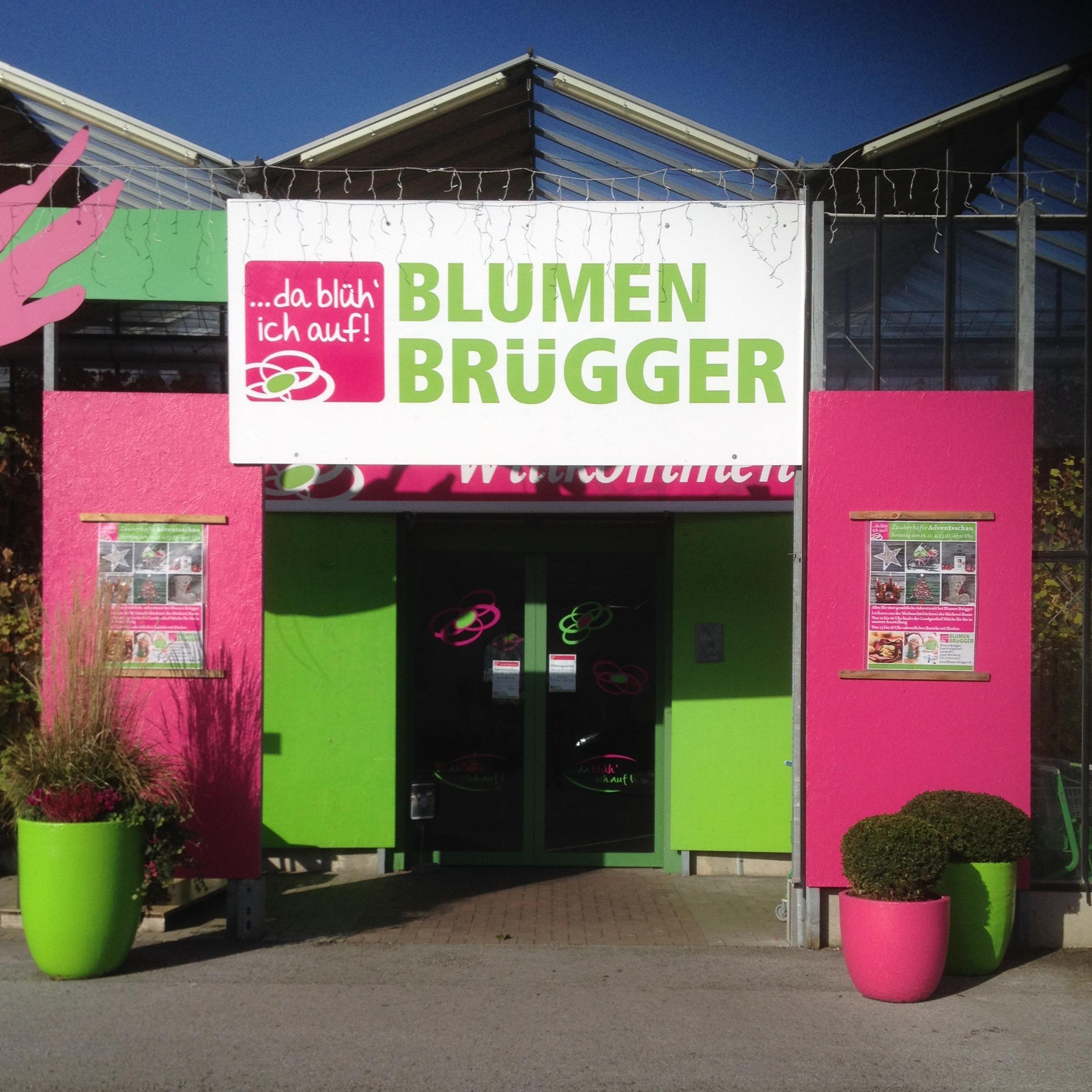 Blumen Brügger - Marsberg, Zum Steingrund 2