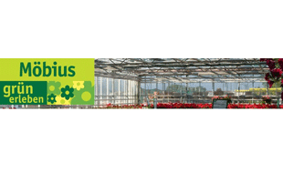 Blumen Möbius GmbH - Lutherstadt Wittenberg, Rothemark 16