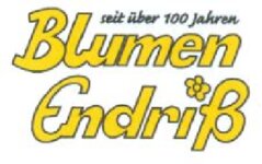 Blumen Endriß - Tübingen-Innenstadt, Wildermuthstr. 30